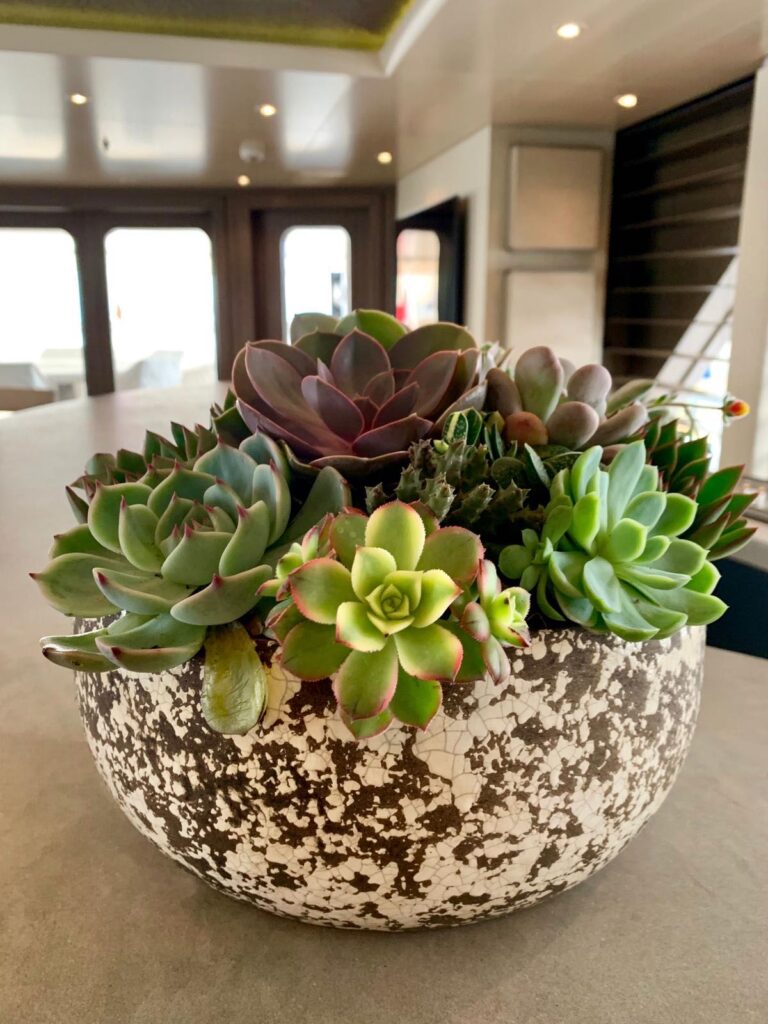 ©Maud Creation Florale