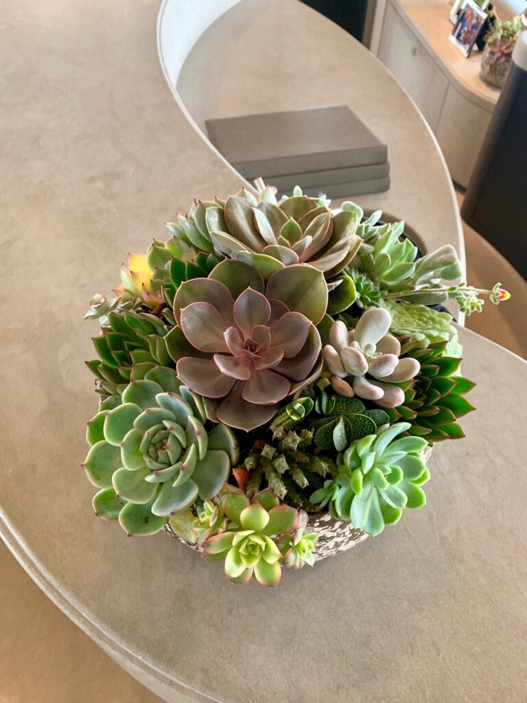 ©Maud Creation Florale