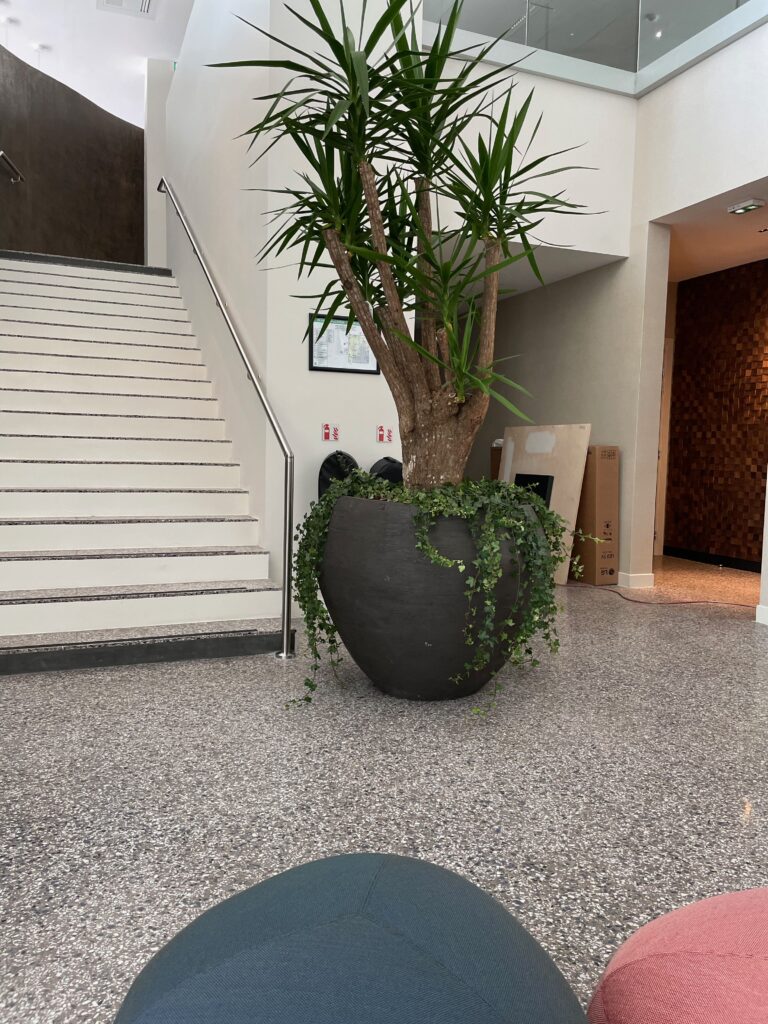 ©Maud Creation Florale