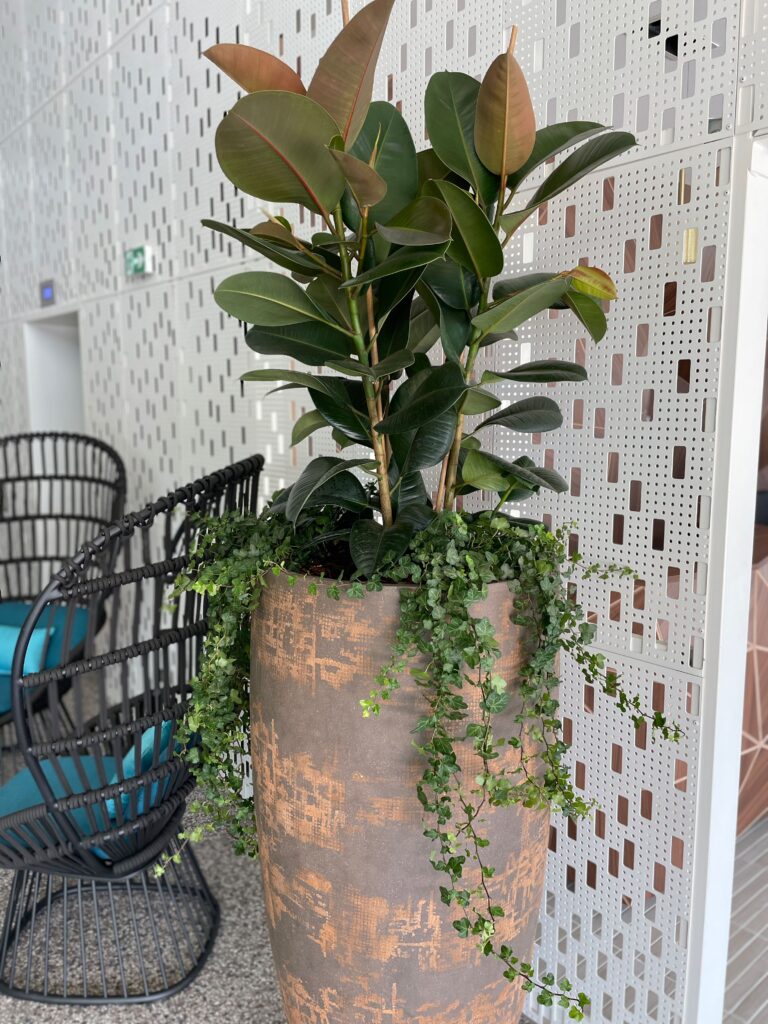 ©Maud Creation Florale