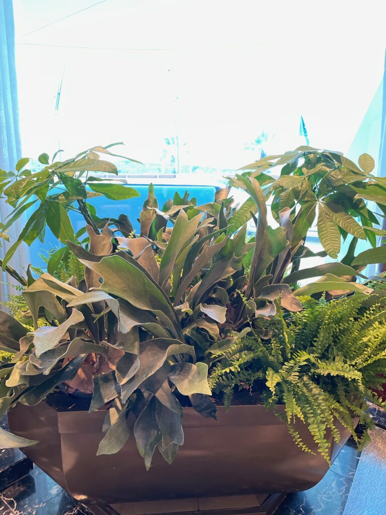 ©Maud Creation Florale