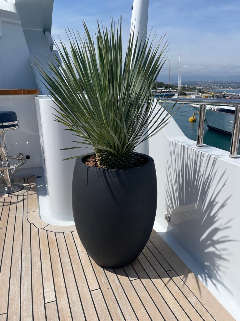 ©Maud Creation Florale